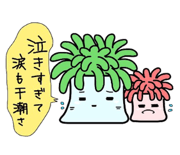 (B.B.B) as4  Chakku brothers sticker #2806138