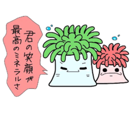 (B.B.B) as4  Chakku brothers sticker #2806142