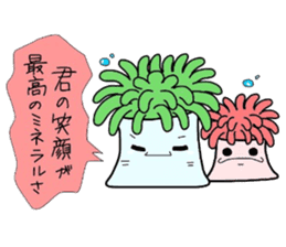 (B.B.B) as4 Chakku brothers sticker #2806142