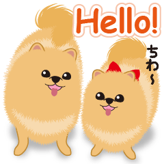 Pomeranian Reena & Hime