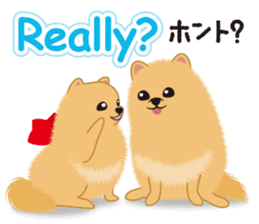 Pomeranian Reena & Hime sticker #2806572