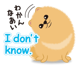 Pomeranian Reena & Hime sticker #2806574