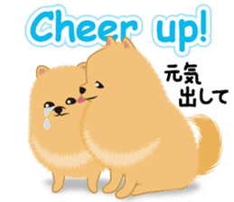 Pomeranian Reena & Hime sticker #2806576