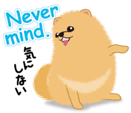 Pomeranian Reena & Hime sticker #2806578