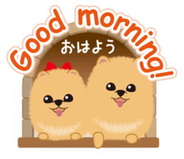 Pomeranian Reena & Hime sticker #2806579