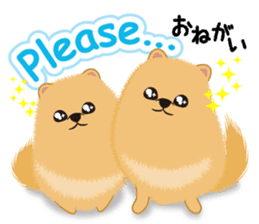Pomeranian Reena & Hime sticker #2806582