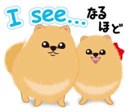Pomeranian Reena & Hime sticker #2806583
