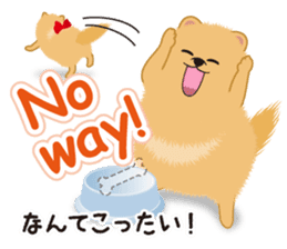 Pomeranian Reena & Hime sticker #2806585