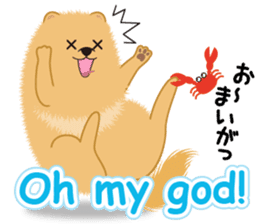 Pomeranian Reena & Hime sticker #2806586