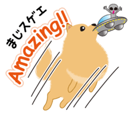 Pomeranian Reena & Hime sticker #2806589