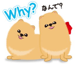 Pomeranian Reena & Hime sticker #2806594