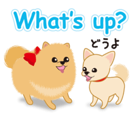 Pomeranian Reena & Hime sticker #2806602