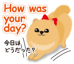 Pomeranian Reena & Hime sticker #2806603