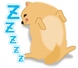Pomeranian Reena & Hime sticker #2806606