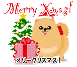 Pomeranian Reena & Hime sticker #2806608