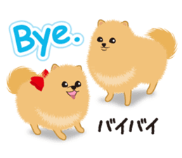 Pomeranian Reena & Hime sticker #2806610