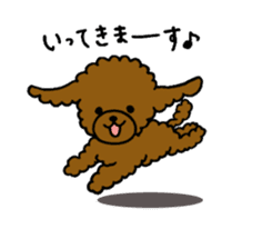 The pretty toy poodle "MOMO" sticker #2806971