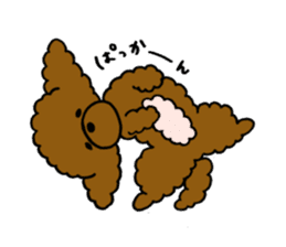 The pretty toy poodle "MOMO" sticker #2806973