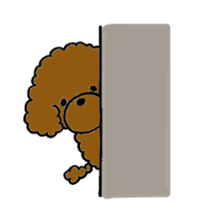 The pretty toy poodle "MOMO" sticker #2806974