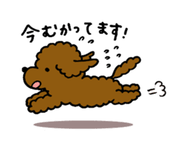 The pretty toy poodle "MOMO" sticker #2806976