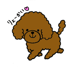 The pretty toy poodle "MOMO" sticker #2806981