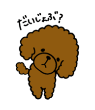 The pretty toy poodle "MOMO" sticker #2806985