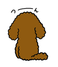 The pretty toy poodle "MOMO" sticker #2806987