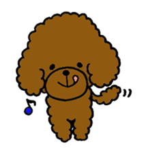 The pretty toy poodle "MOMO" sticker #2807000