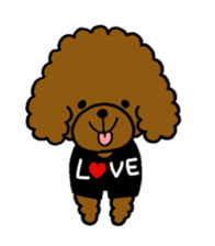 The pretty toy poodle "MOMO" sticker #2807008