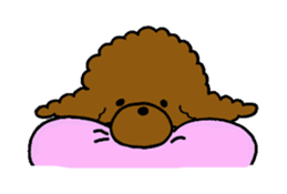 The pretty toy poodle "MOMO" sticker #2807009