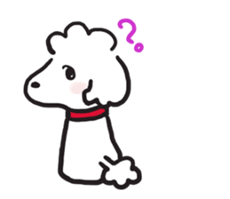 red coller poodle sticker #2807333
