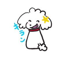 red coller poodle sticker #2807338