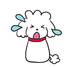 red coller poodle sticker #2807344