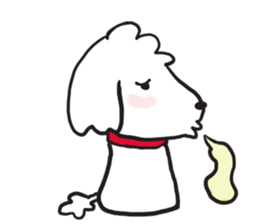 red coller poodle sticker #2807348