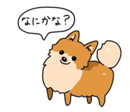 Pomeranian Gon03 sticker #2808811