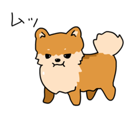 Pomeranian Gon03 sticker #2808812