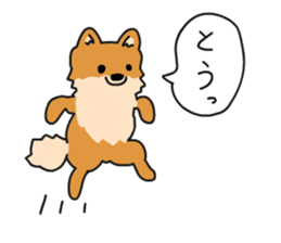 Pomeranian Gon03 sticker #2808813