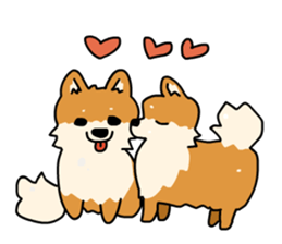 Pomeranian Gon03 sticker #2808814