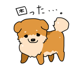 Pomeranian Gon03 sticker #2808815