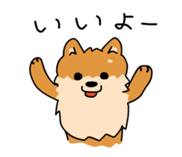 Pomeranian Gon03 sticker #2808817