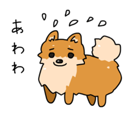 Pomeranian Gon03 sticker #2808819