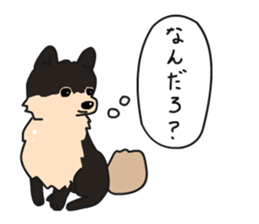 Pomeranian Gon03 sticker #2808820