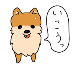 Pomeranian Gon03 sticker #2808822