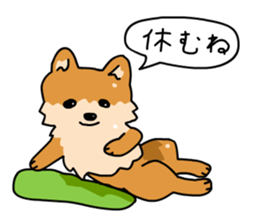 Pomeranian Gon03 sticker #2808823