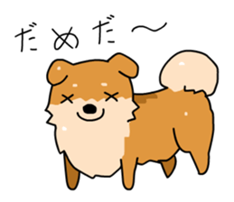 Pomeranian Gon03 sticker #2808826