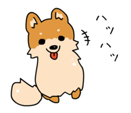 Pomeranian Gon03 sticker #2808827