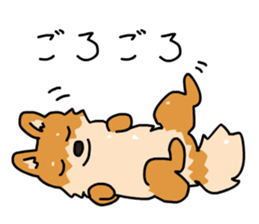 Pomeranian Gon03 sticker #2808828