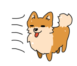 Pomeranian Gon03 sticker #2808832