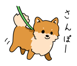 Pomeranian Gon03 sticker #2808841
