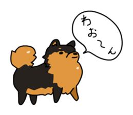 Pomeranian Gon03 sticker #2808846